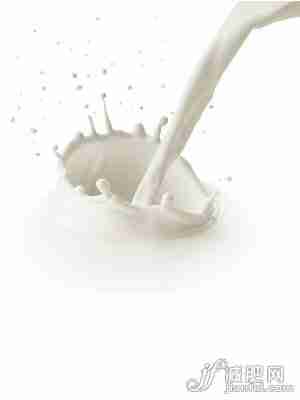 牛奶让你瘦的秘密