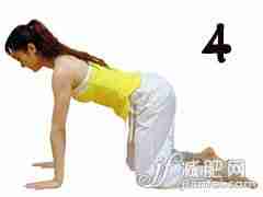 减肥的瑜伽动作原始动作