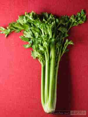 芹菜能后保持体液平衡