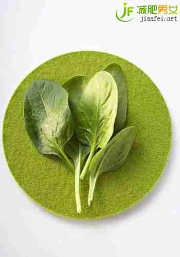 3日菠菜减肥餐 轻松享瘦不反弹