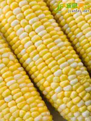 玉米粗纤维含量高