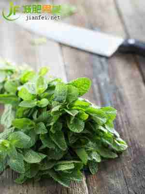 薄荷的燃脂效果好