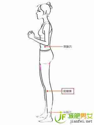 阳陵泉--站立加快燃烧脂肪