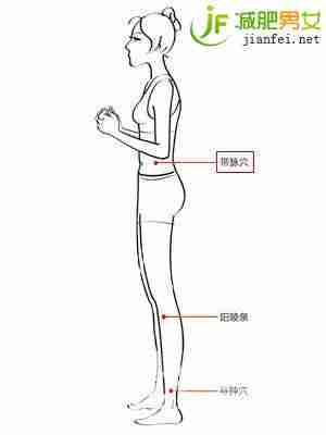 带脉穴--敲击甩掉“游泳圈”