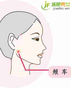 瘦脸穴--颊车穴